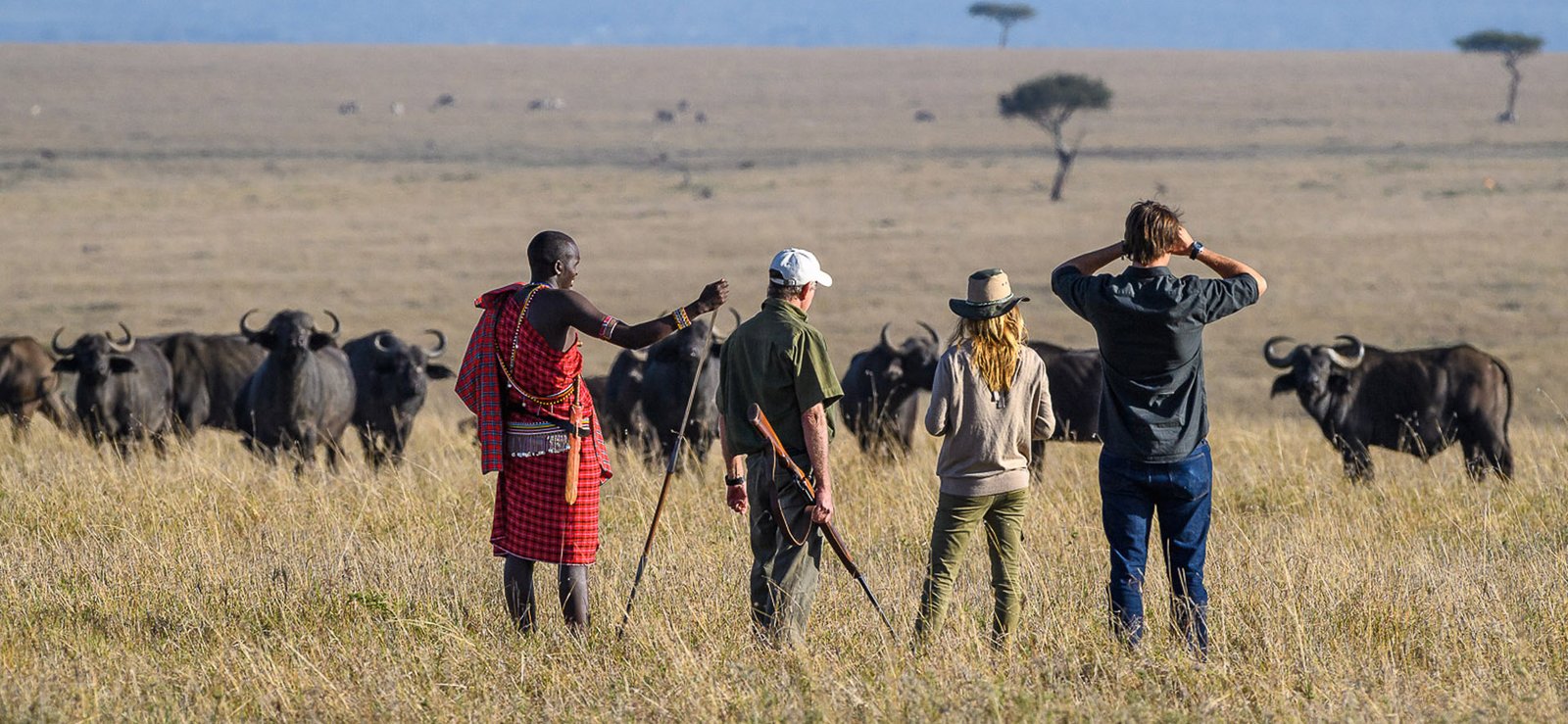 walkingsafariheaderimage